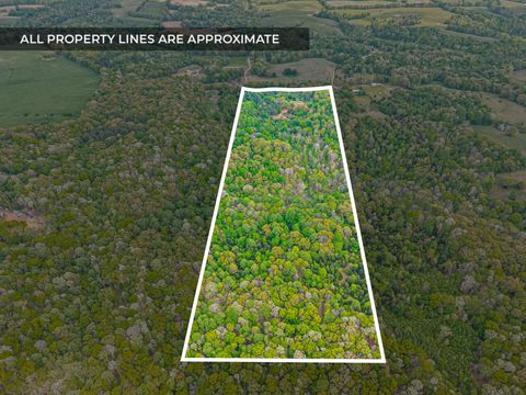 208 Tomsic Rd Indian Mound TN 37079