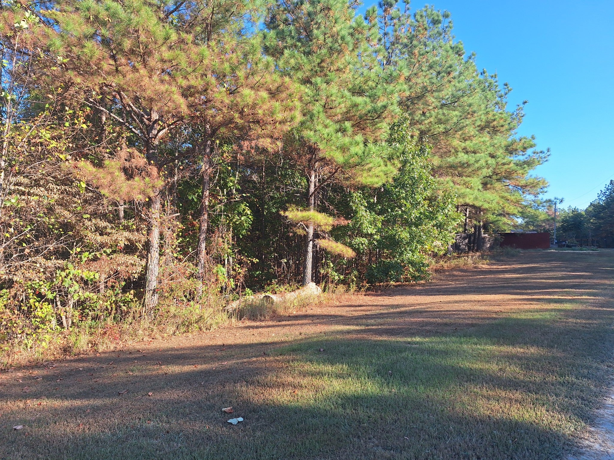 121 Nature Ln