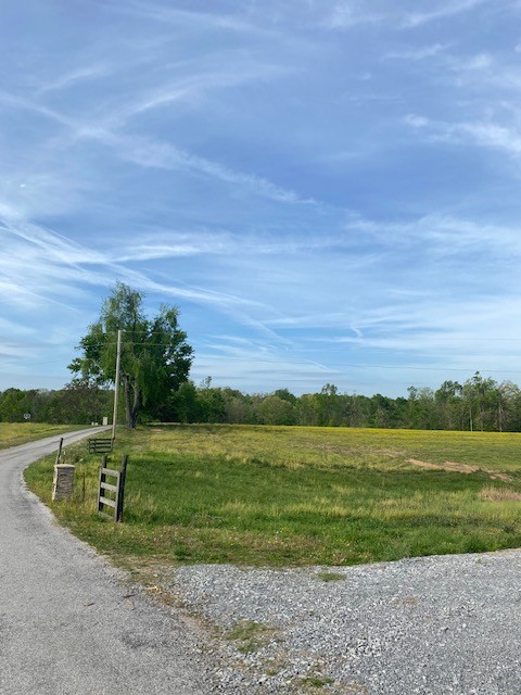 0 Johns Creek Road - Photo 2