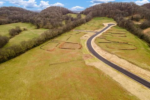 1924 Silver Fox Road Thompsons Station TN 37179