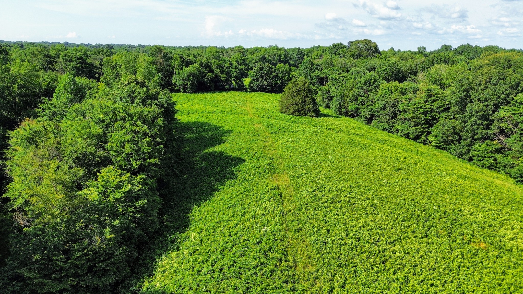 804 Ball Hollow Branch Rd