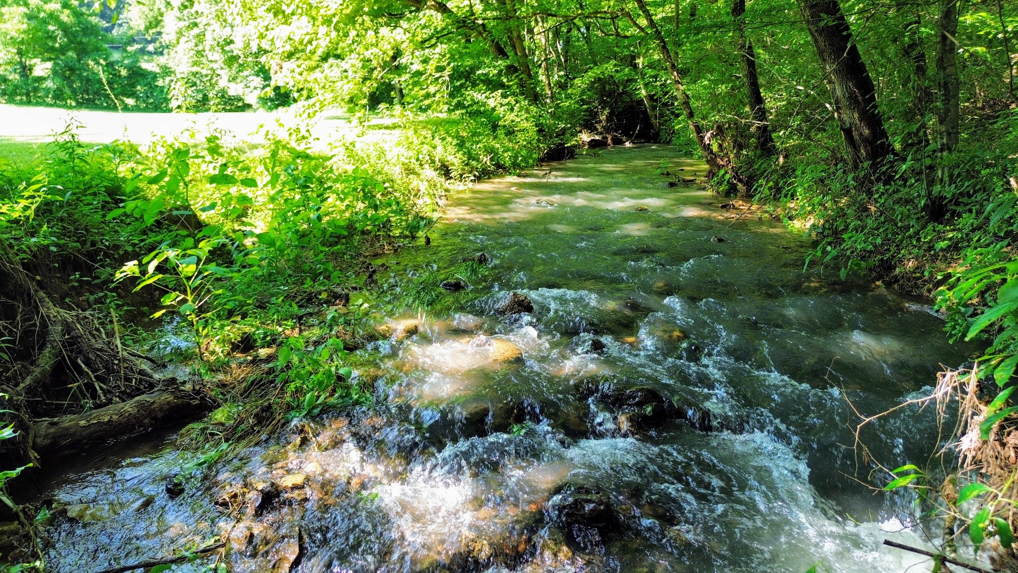 804 Ball Hollow Branch Rd