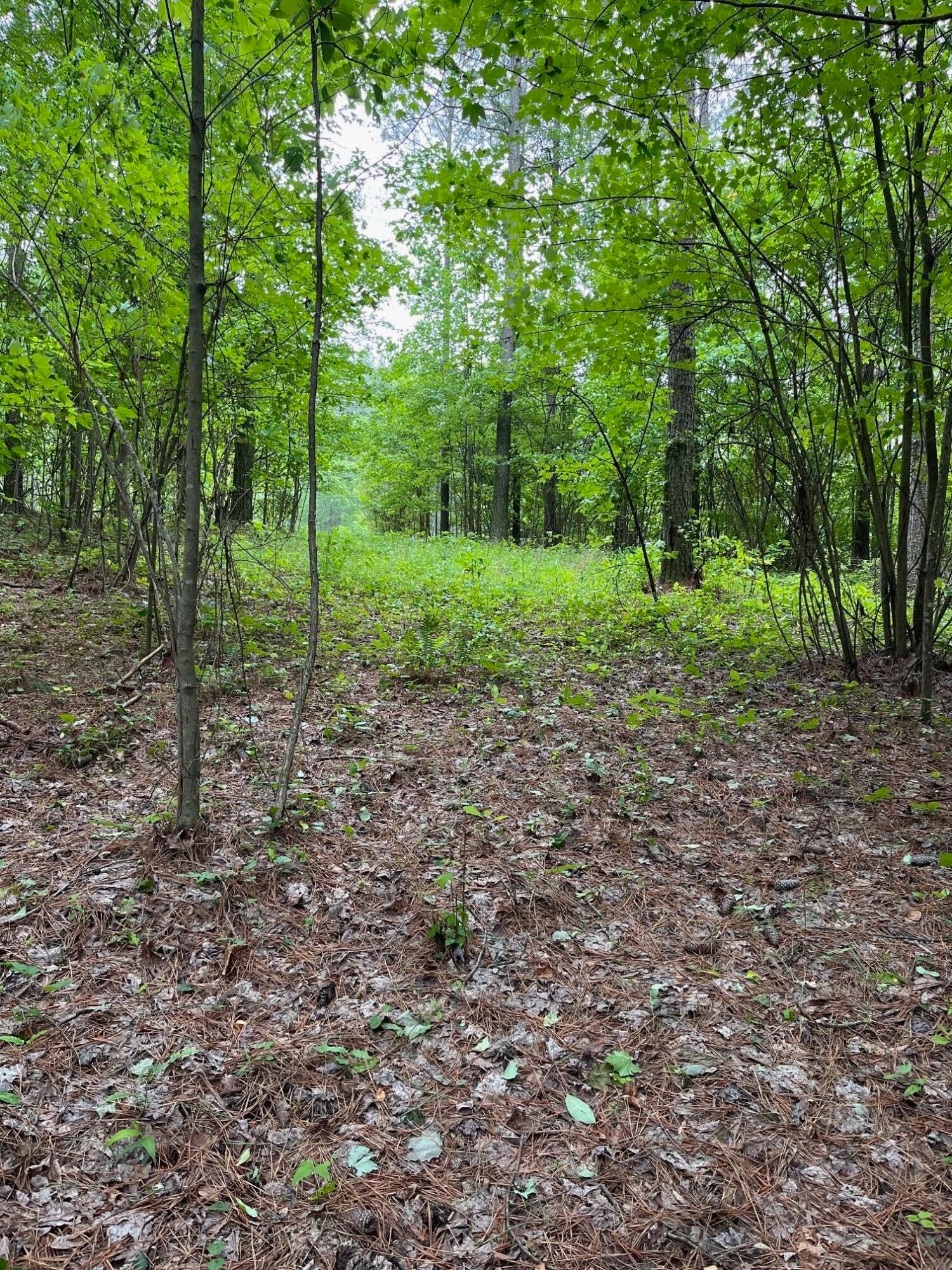 3715 Split Rail Way