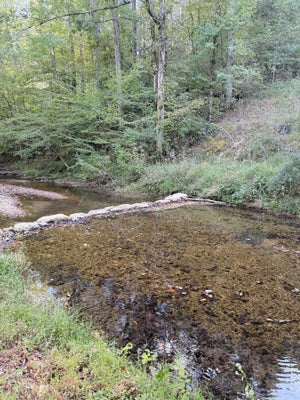 8755 BARREN FORK BRIDGE RD, BON AQUA, TN 37025 - Image 018039d6c968bc22732baa937cbcd191/172575952