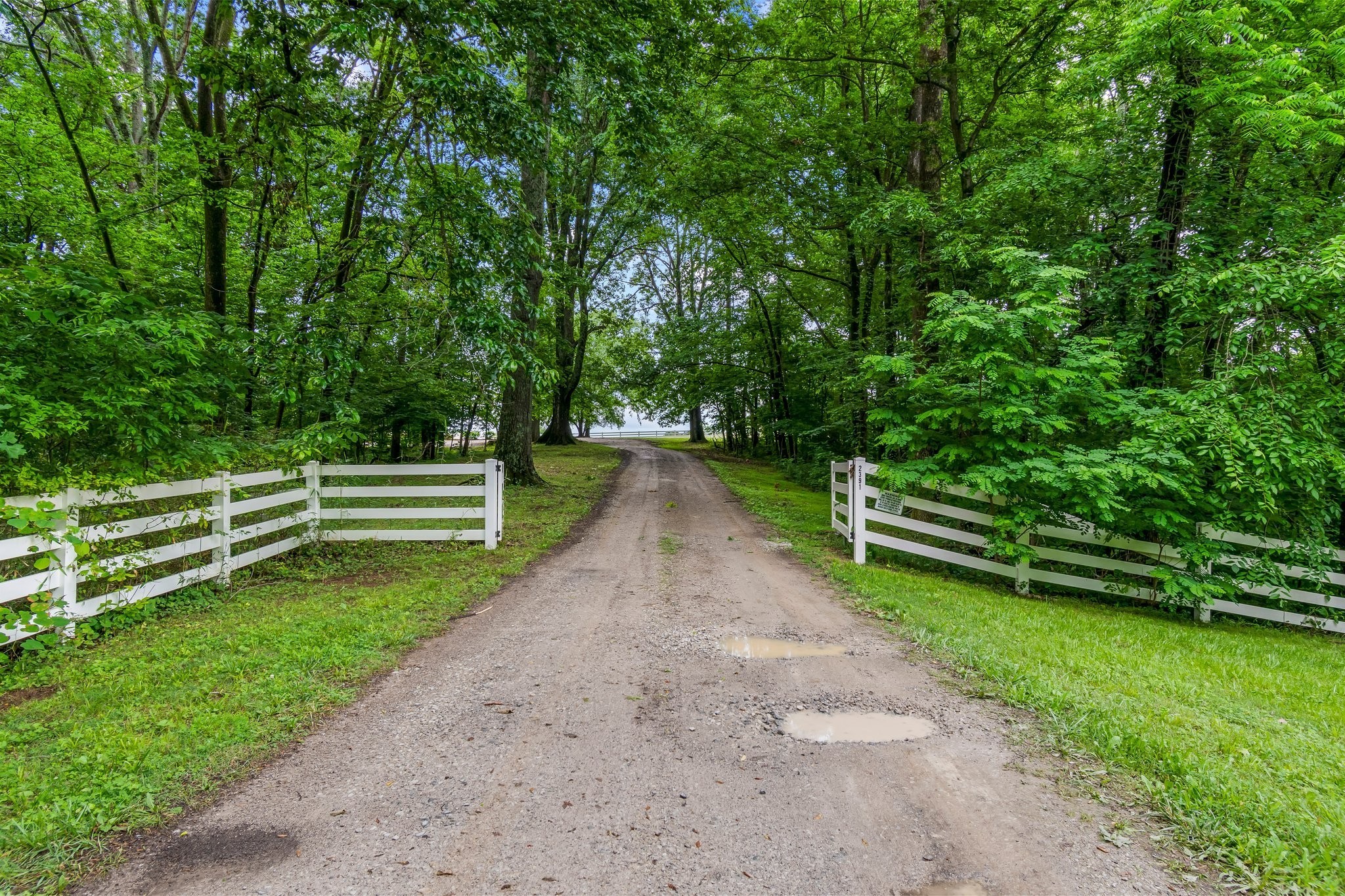 2391 Double Branch Rd