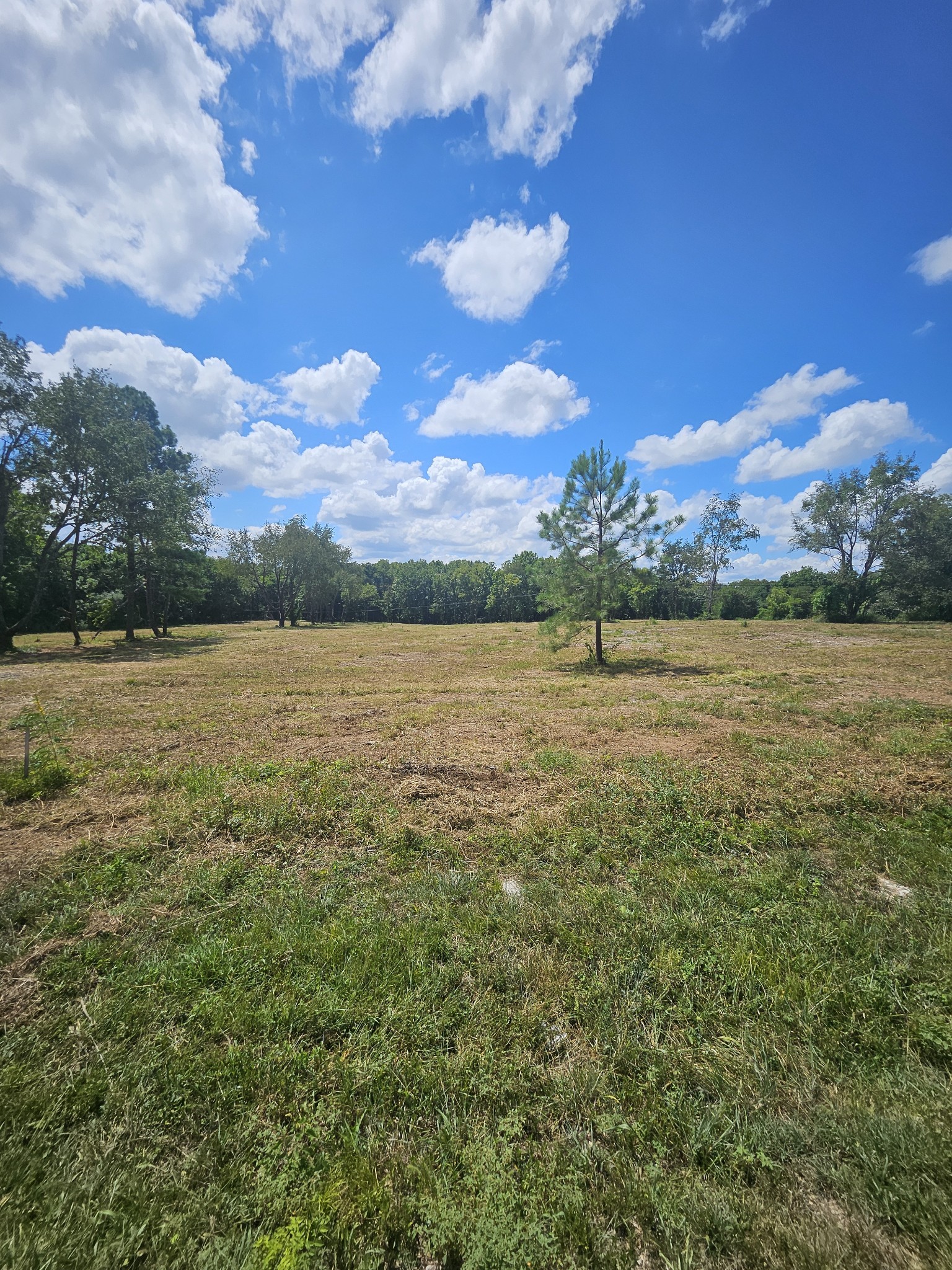 0 Sulpher Springs Rd