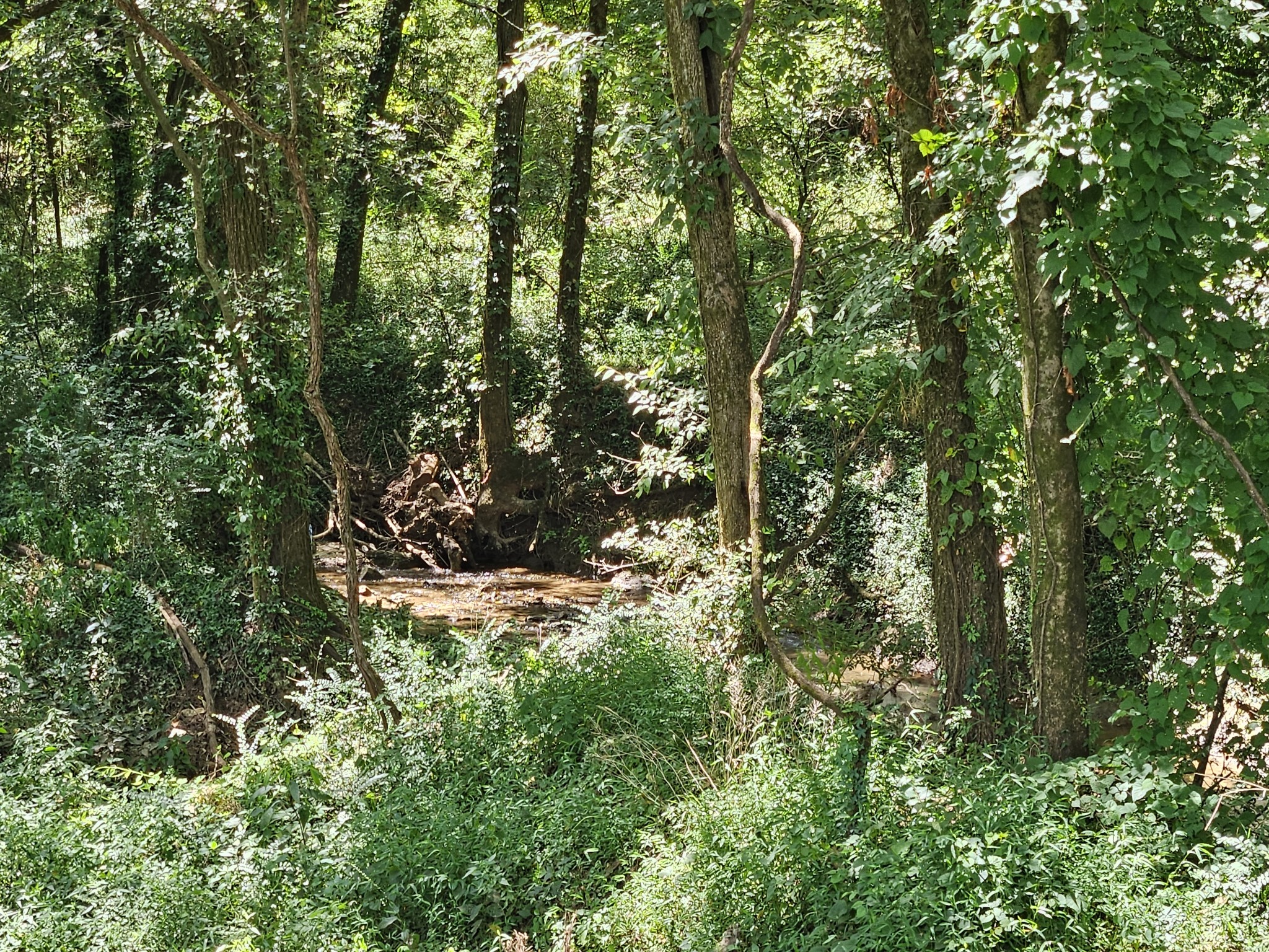 0 Sulpher Springs Rd