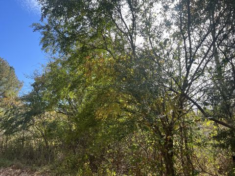 1 Clyde Webb Tennessee Ridge TN 37178