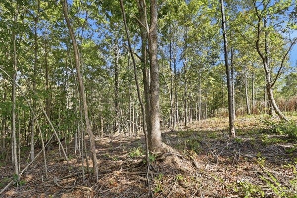 468 Streamside Drive
