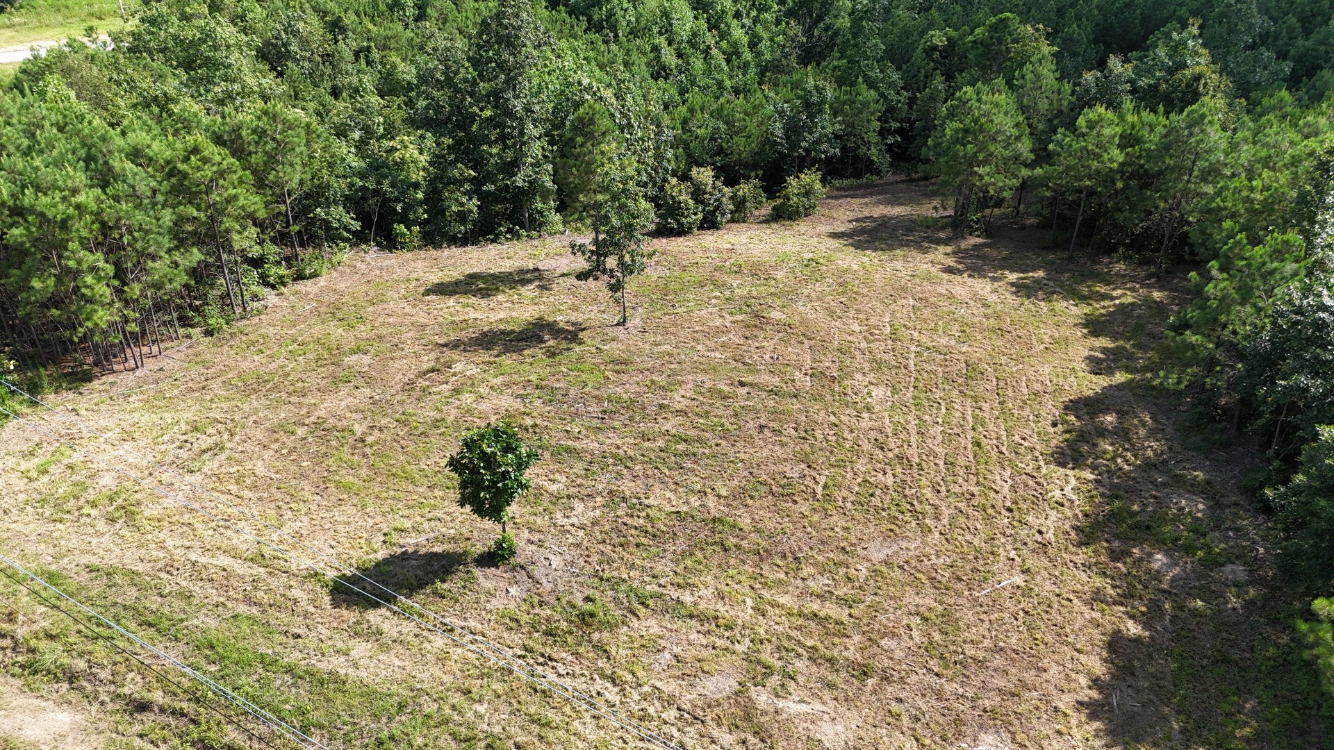 7696 Old Hohenwald Rd