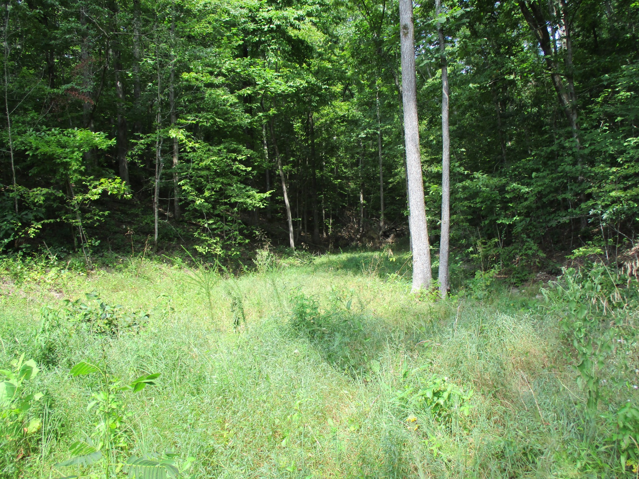 0 Red Bank Creek Rd