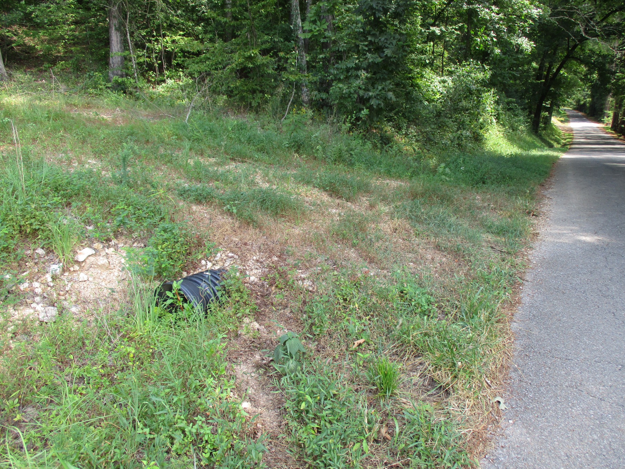 0 Red Bank Creek Rd