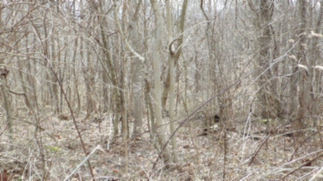 0 Beaver Lane