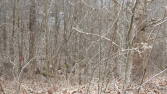 0 Beaver Lane