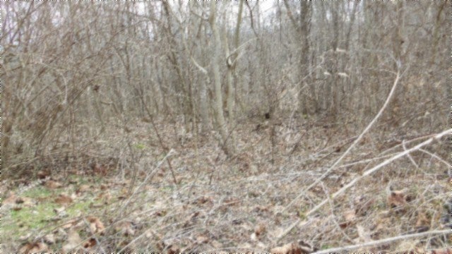0 Beaver Lane