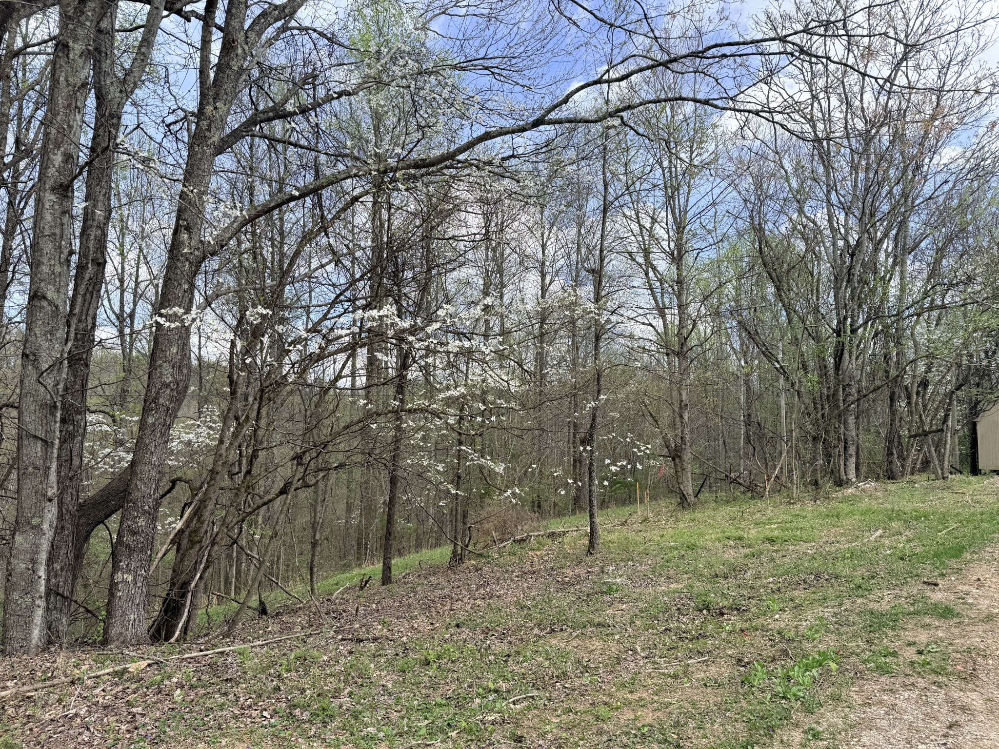 0 Sugar Tree Knob Rd