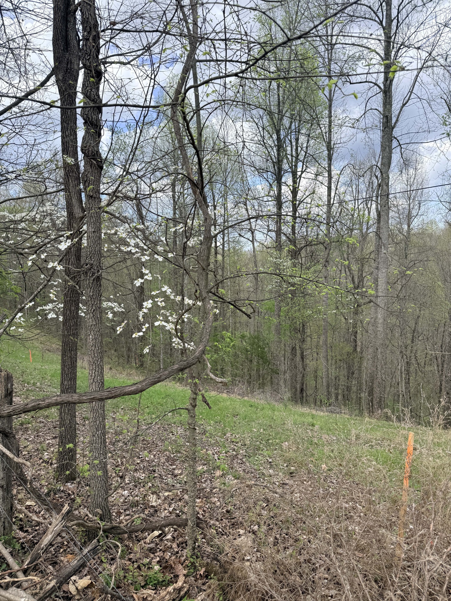 0 Sugar Tree Knob Rd