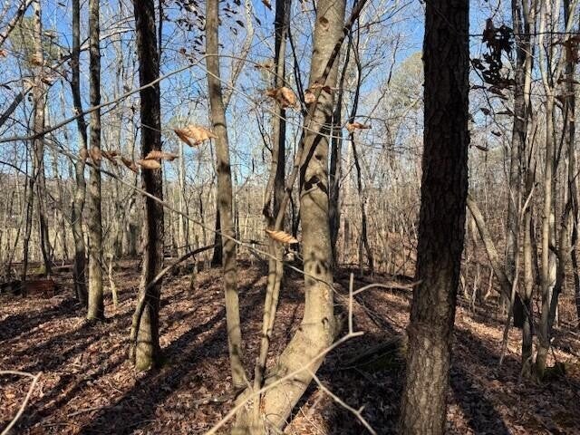 1 County Road 751
