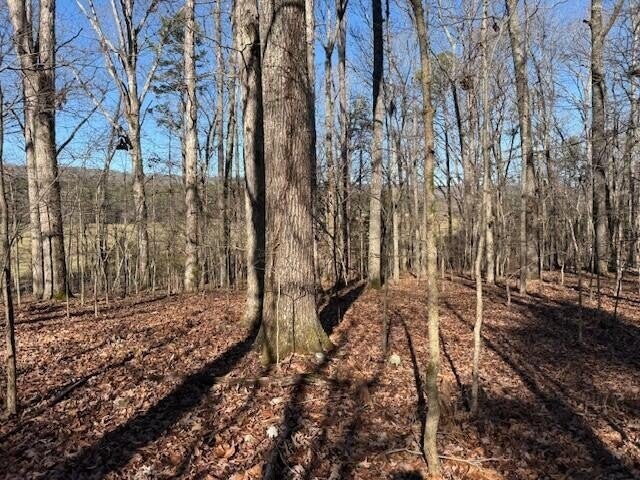 1 County Road 751