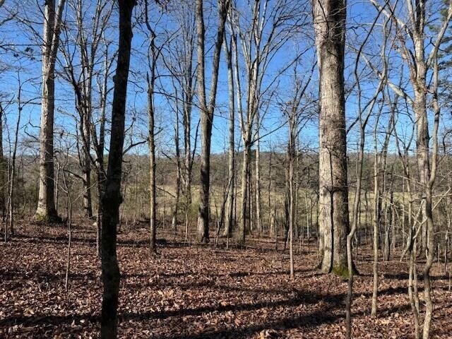 1 County Road 751