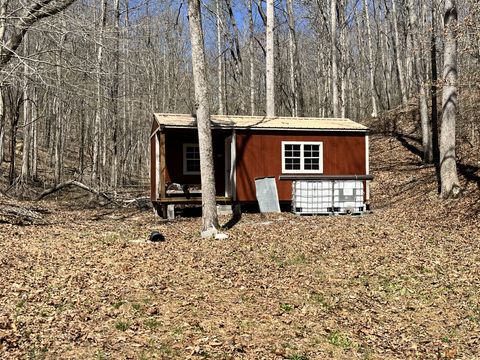 176 Golden View Ln Hampshire TN 38461