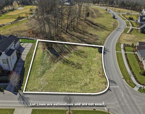 7100 Lanceleaf Dr College Grove TN 37046