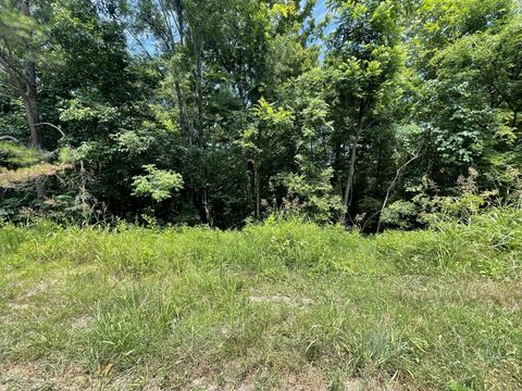 0 Parrish Hollow Rd Lynnville TN 38472