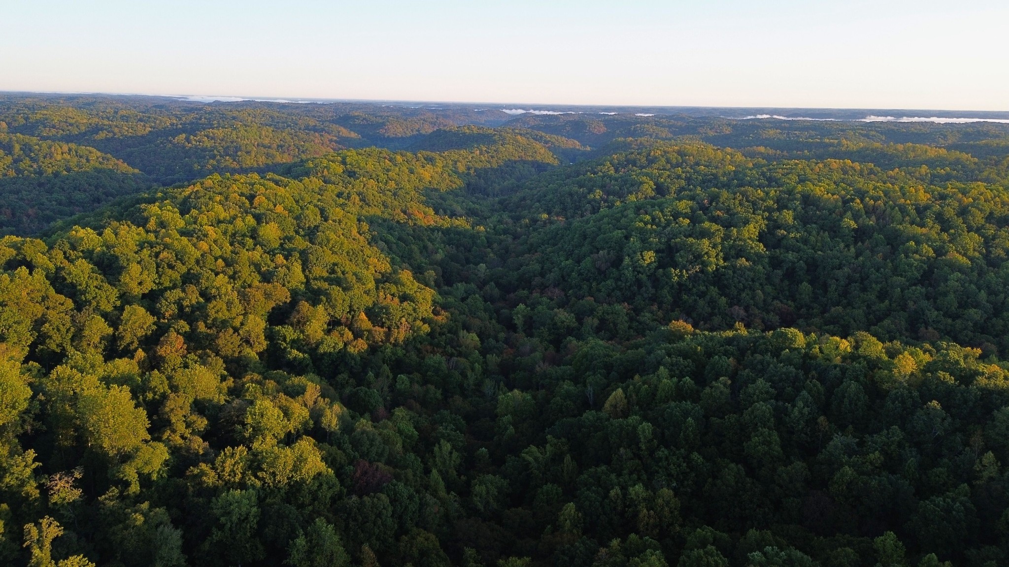 8218 Old Pond Creek Rd