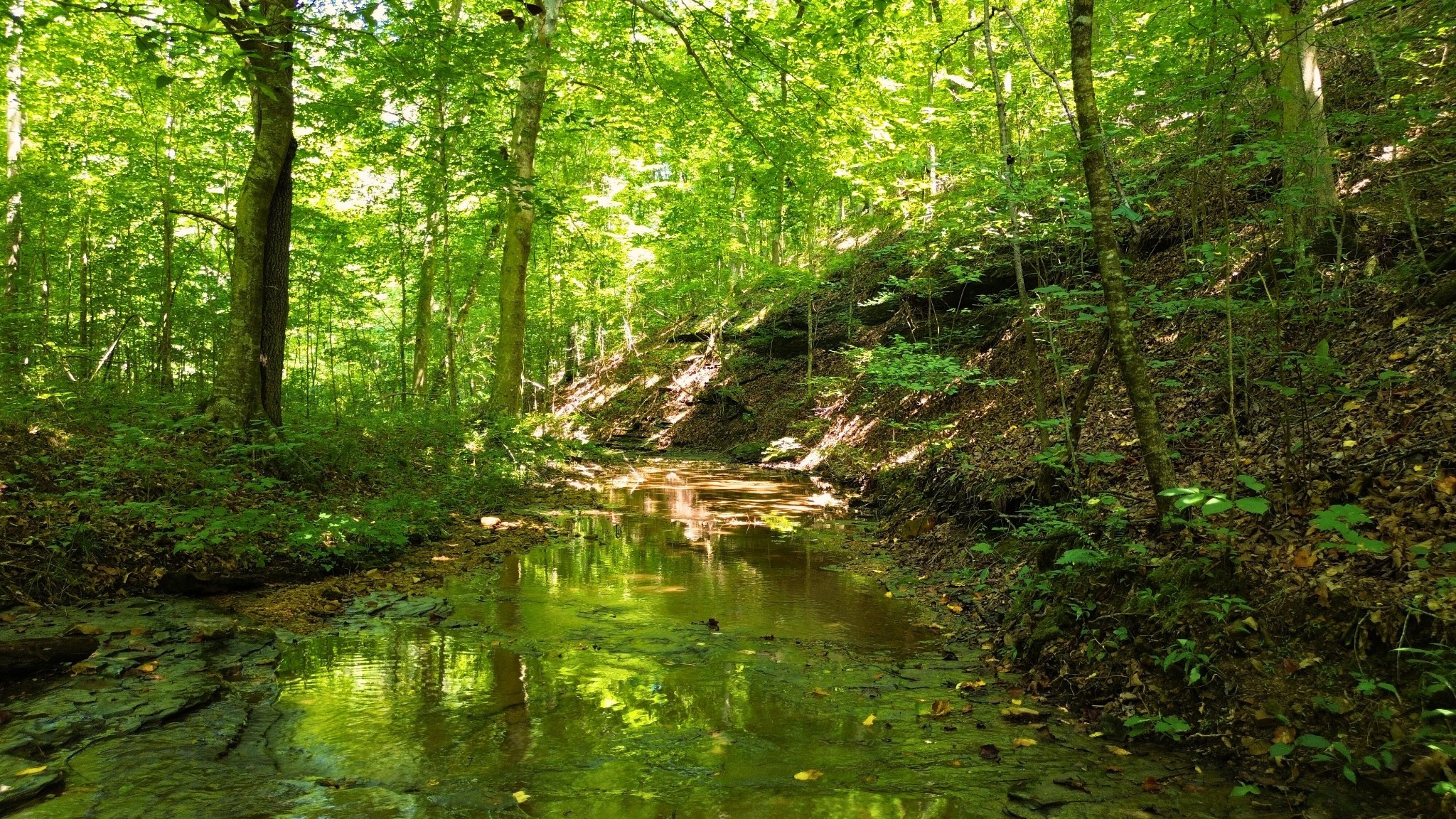 8218 Old Pond Creek Rd