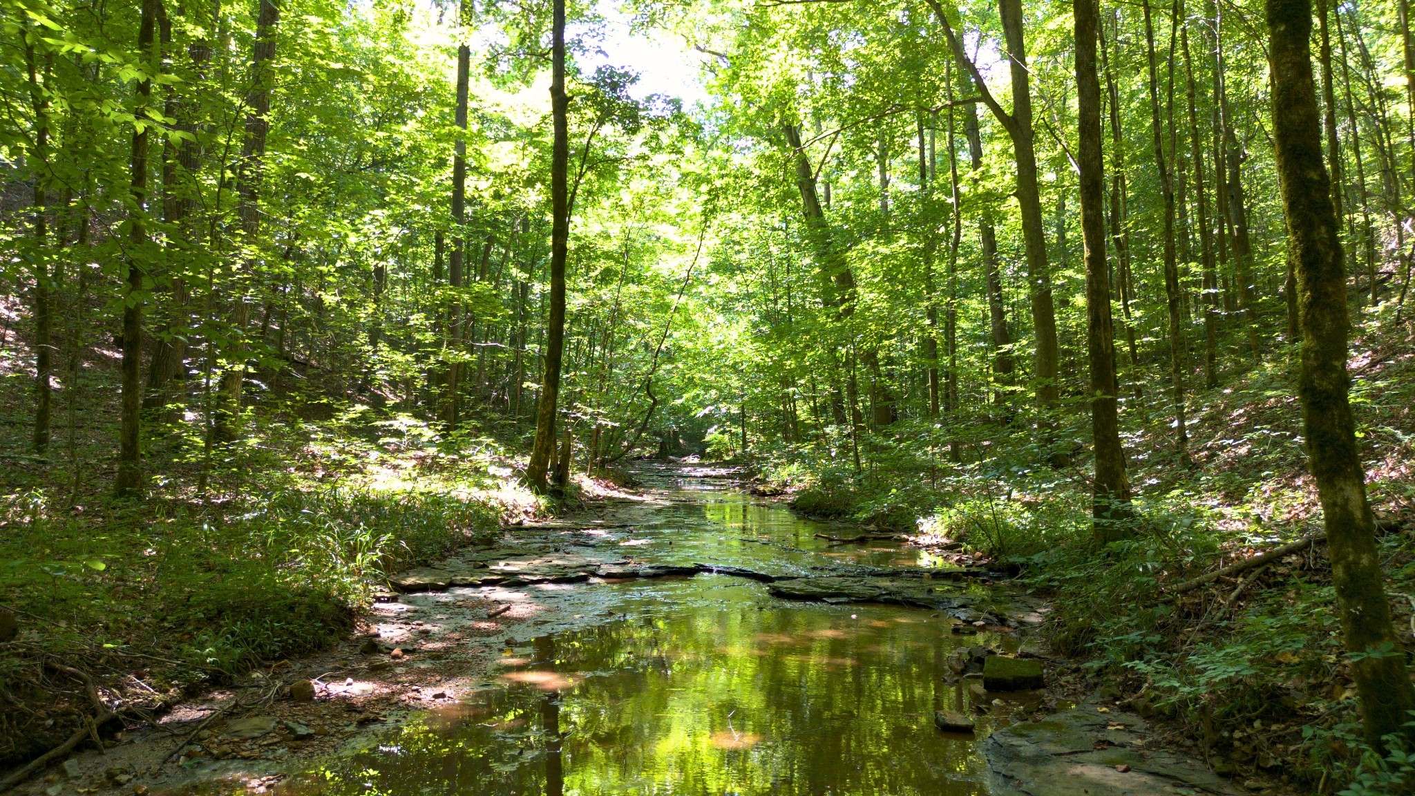 8218 Old Pond Creek Rd