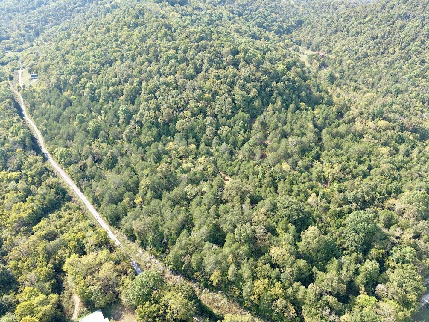 0 Vassar Rd - Photo 3