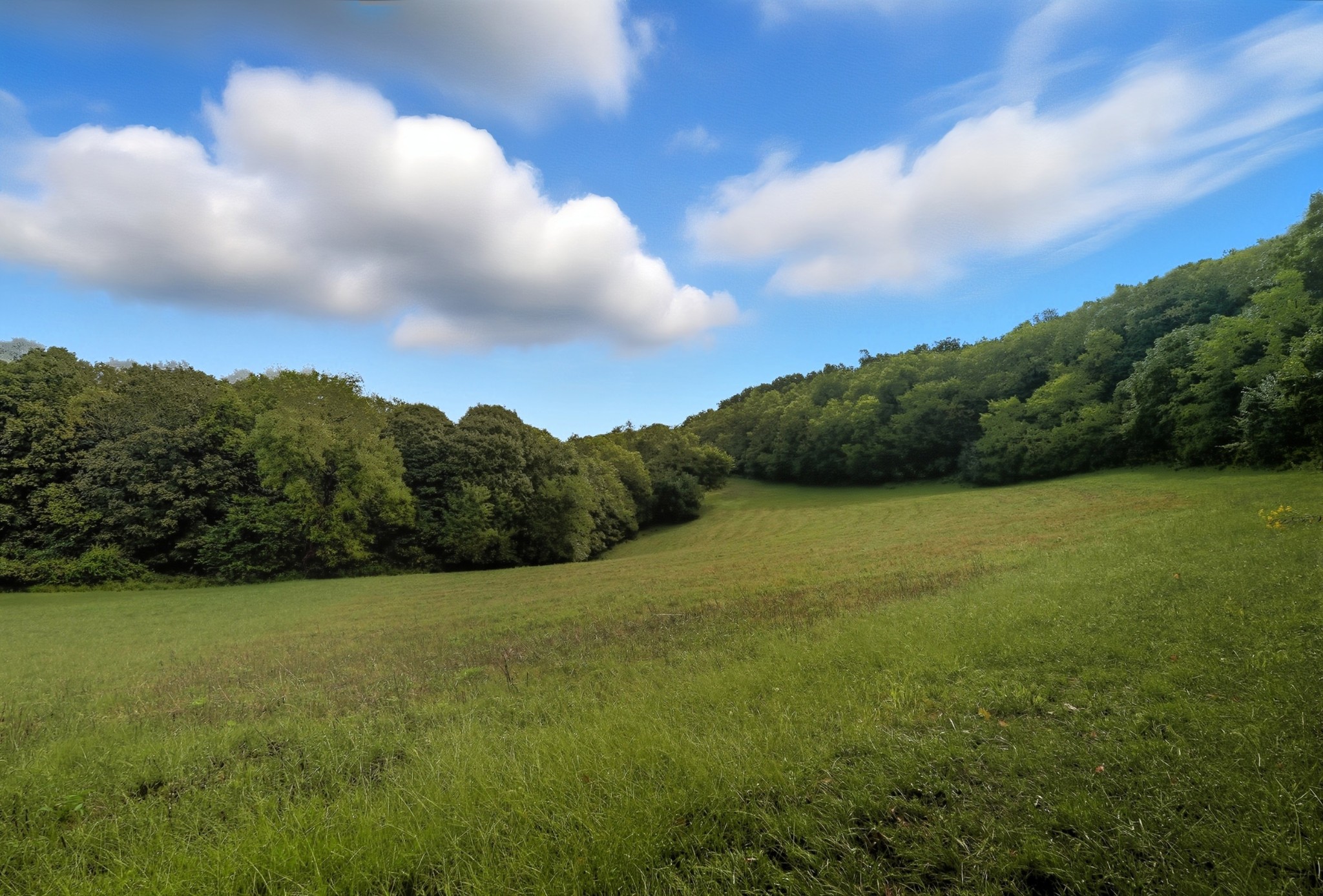 1907 Burke Hollow Rd