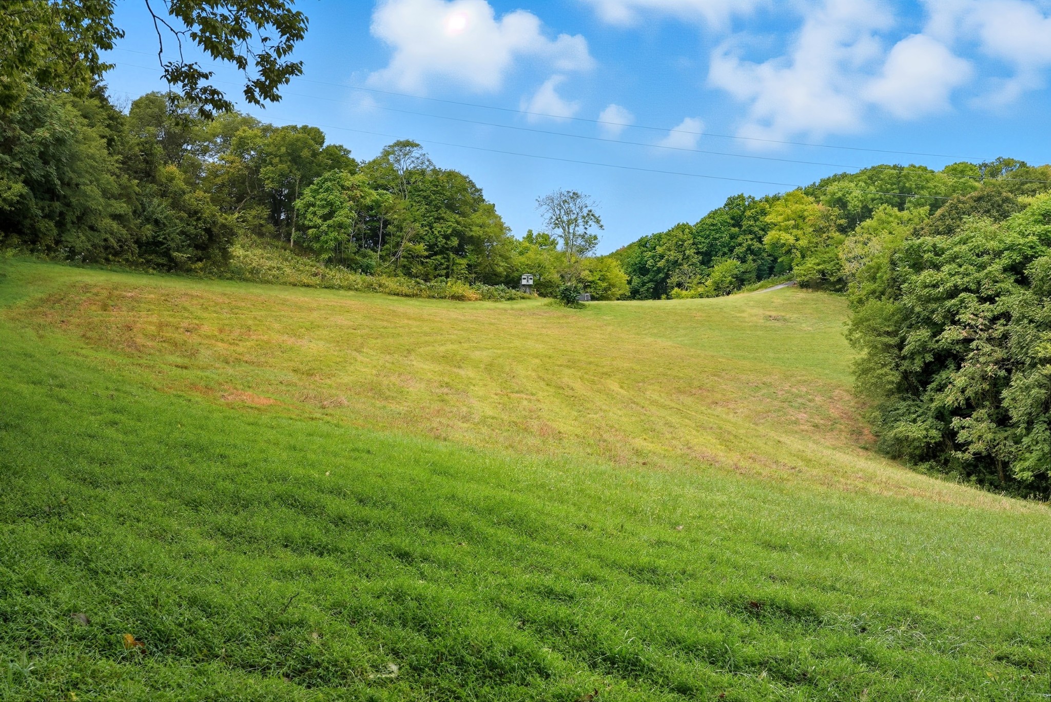 1907 Burke Hollow Rd