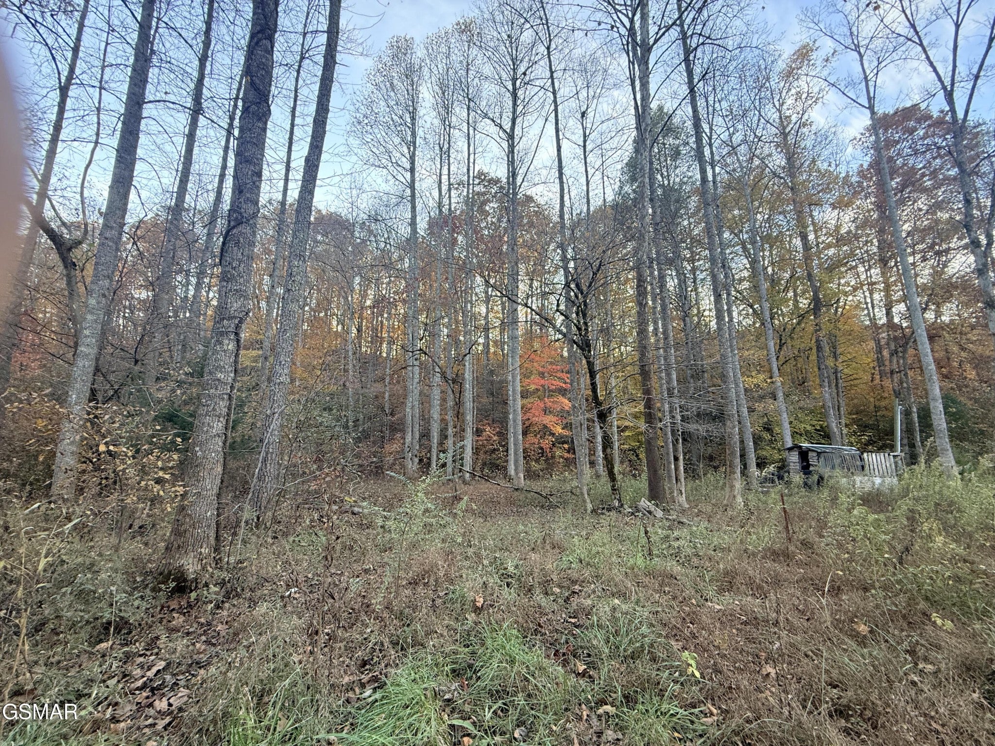 4243 Deerfoot Road