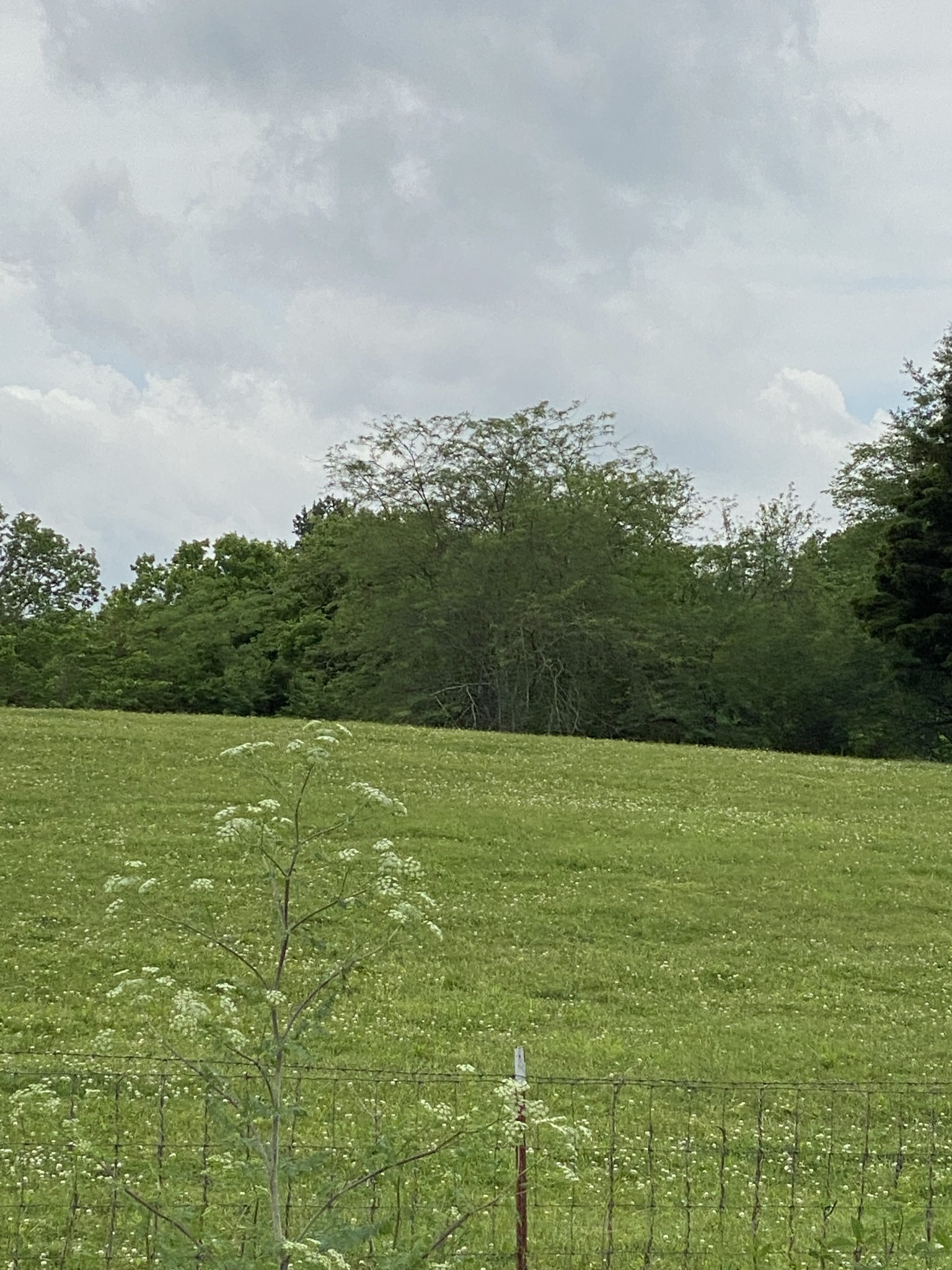 0 Murfreesboro Rd