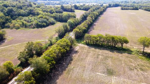 4 McBurg Dellrose Rd Dellrose TN 38453