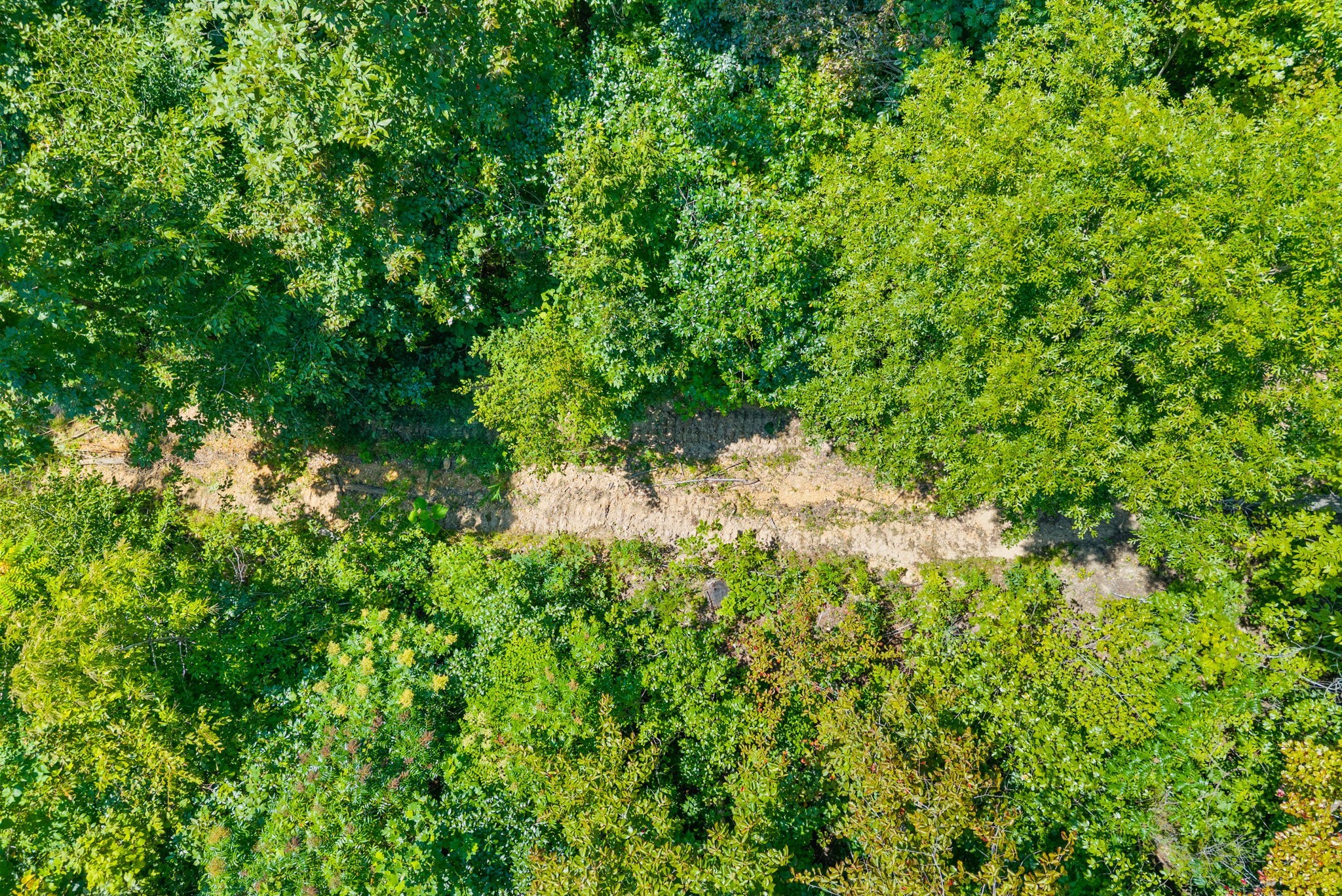 5 Lyle Hollow Rd