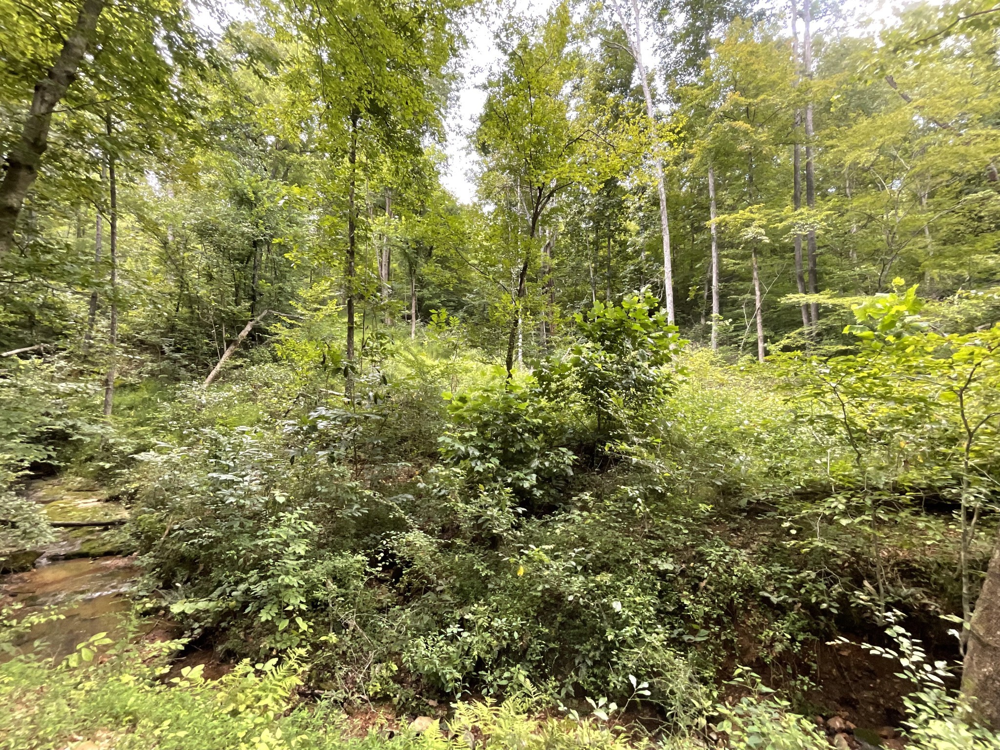 5 Lyle Hollow Rd