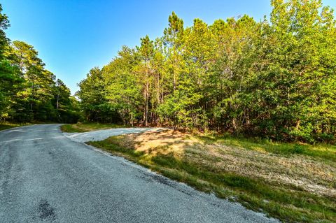 Photo of 0 Brush Creek Rd, Hohenwald, TN 38462 (MLS # 2992010)