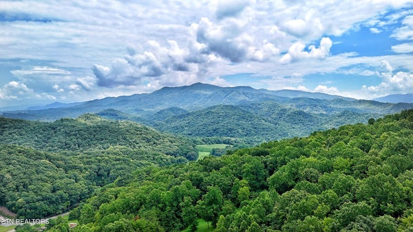 102 S HWY 340, PARROTTSVILLE, TN 37843 - Image 03a3d22edd7a36eeff5e86f7b4511fb3/3699312610