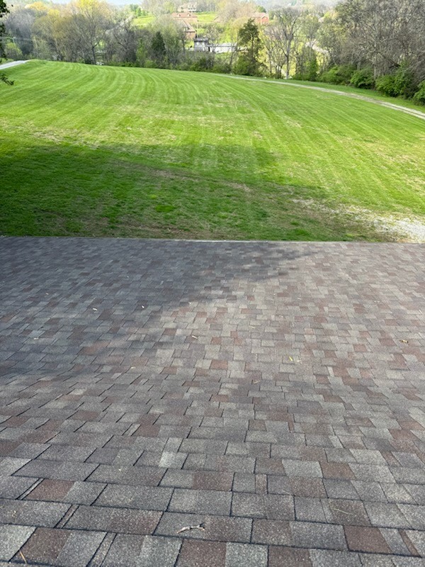 111 Patton Ln