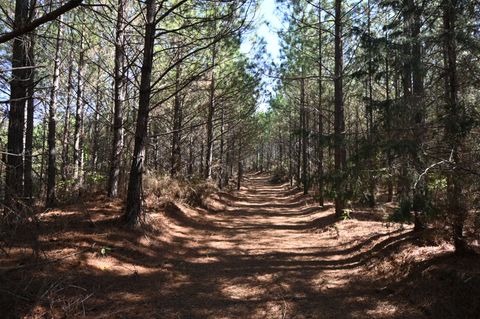 0 Owl Hollow Rd Linden TN 37096