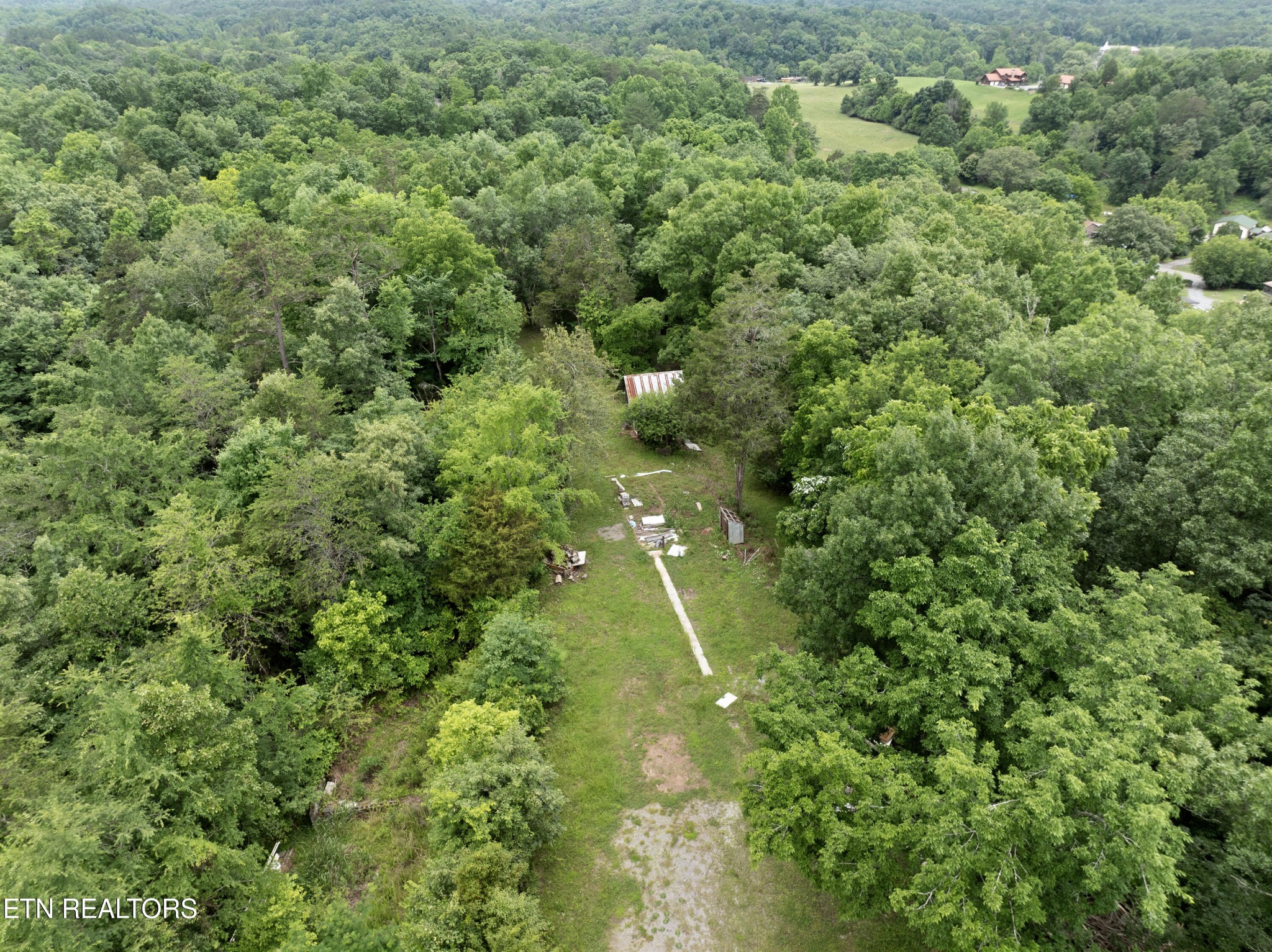 1509 Lundy Rd