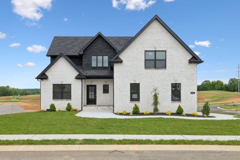 Photo of 169 Dewberry Ct, Clarksville, TN 37042 (MLS # 3596416)