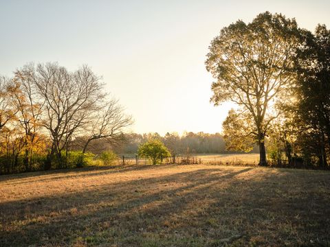 7725 Caney Fork Rd Fairview TN 37062
