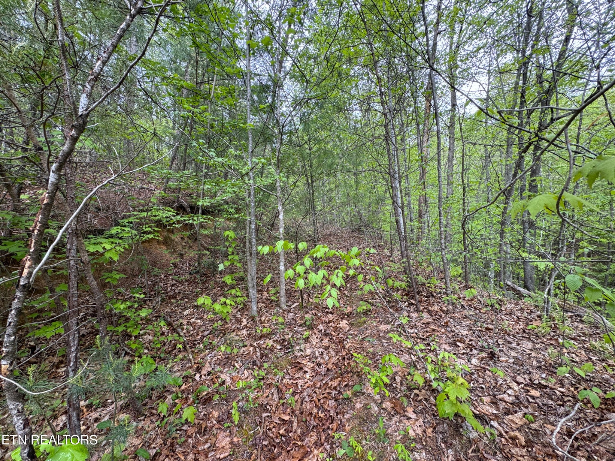 376 Summer House Hollow Rd