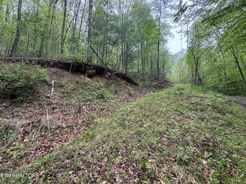 376 Summer House Hollow Rd Del Rio TN 37727