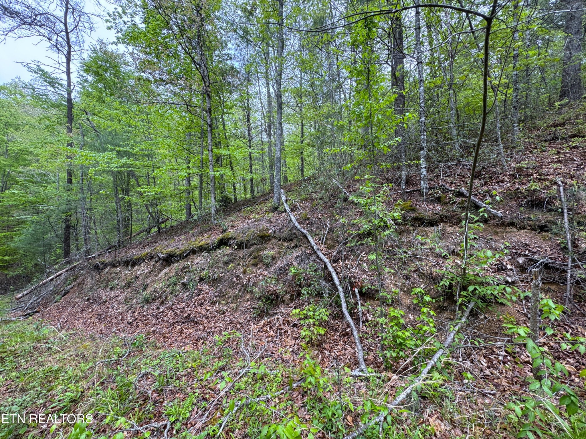 376 Summer House Hollow Rd