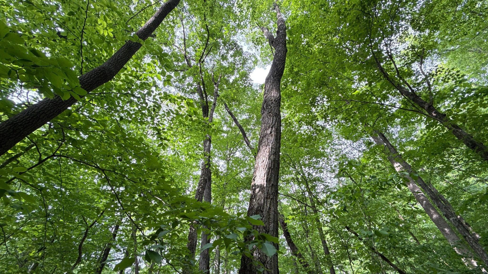 0 Murphy Hollow Rd