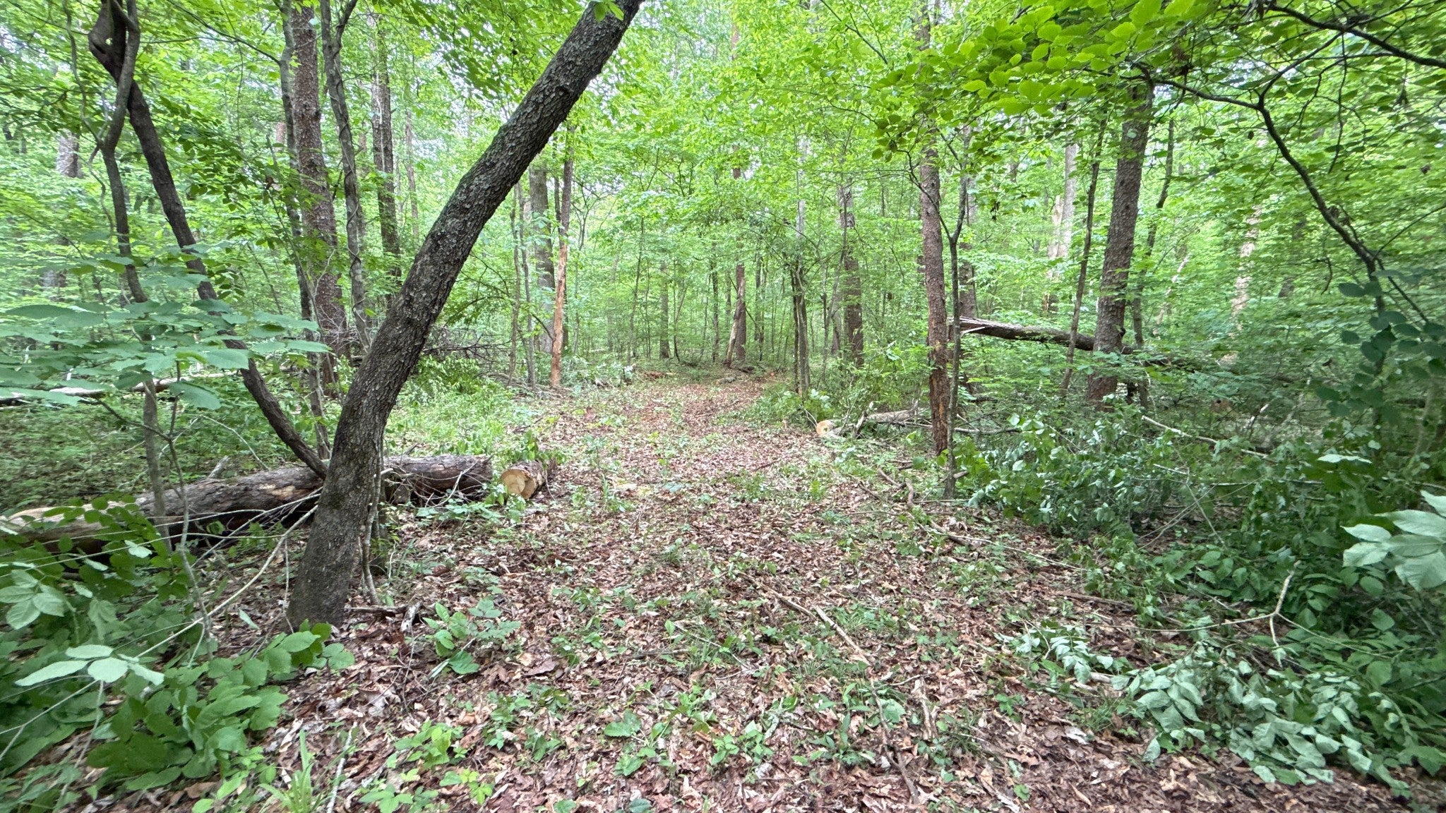 0 Murphy Hollow Rd